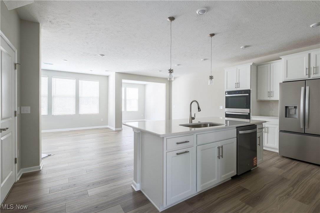 Renaissance Park at Geauga Lake - Residential