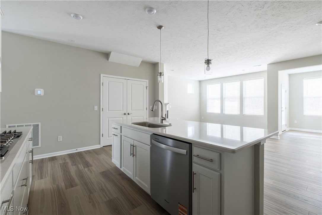 Renaissance Park at Geauga Lake - Residential