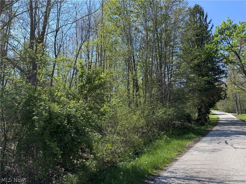 Bass Lake Investment Co Sub - Land