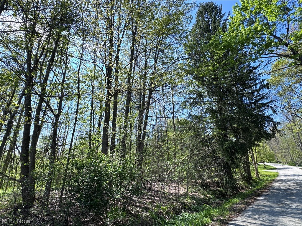 Bass Lake Investment Co Sub - Land