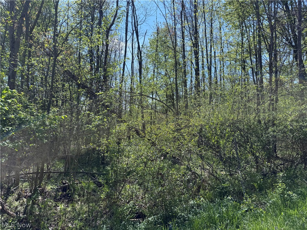 Bass Lake Investment Co Sub - Land