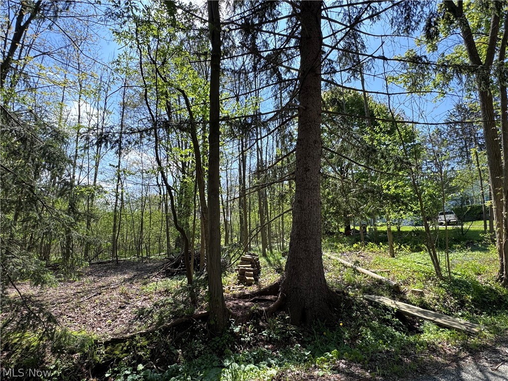 Bass Lake Investment Co Sub - Land
