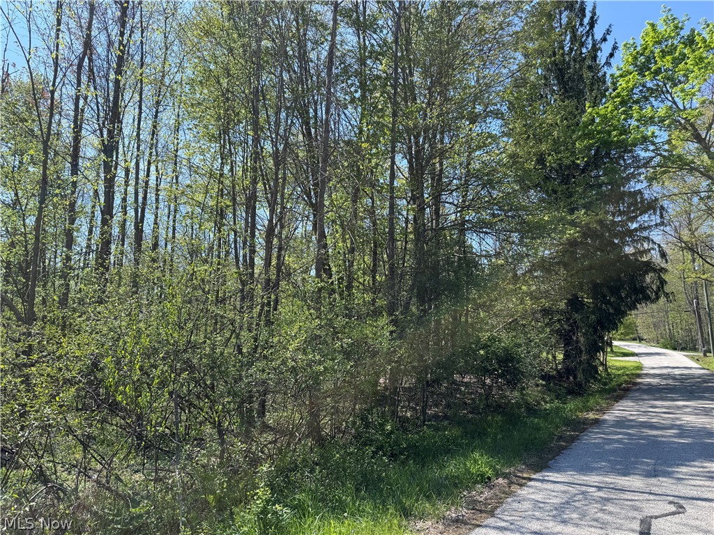 Bass Lake Investment Co Sub - Land