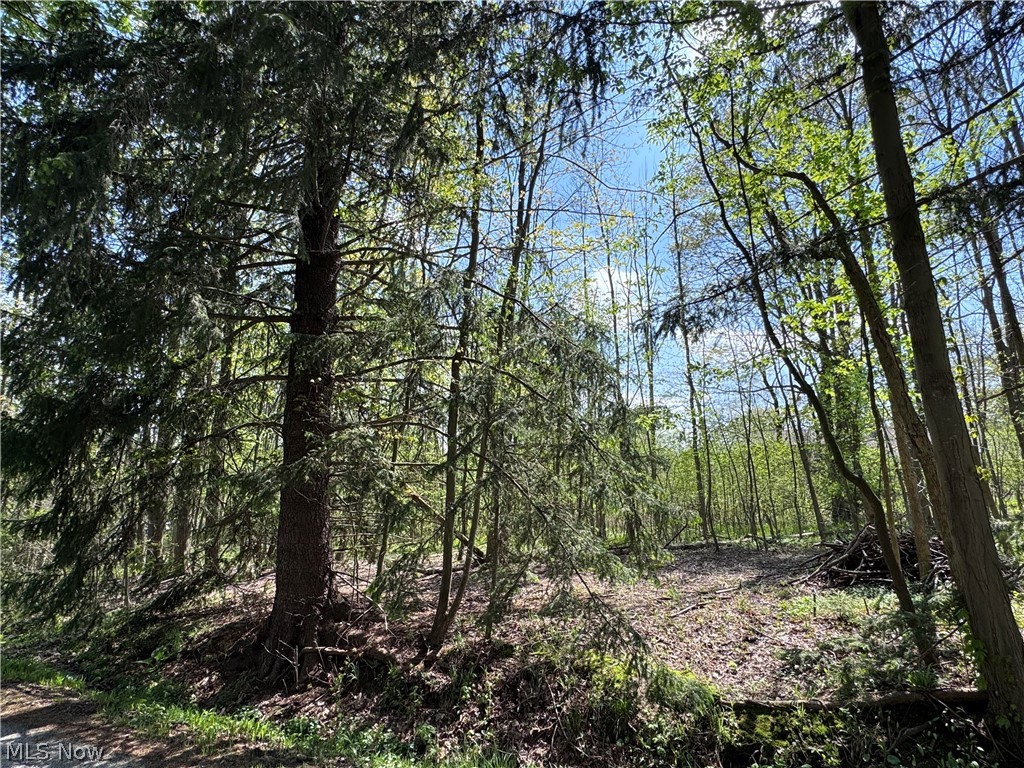 Bass Lake Investment Co Sub - Land