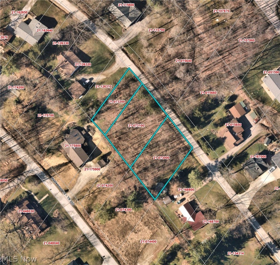 Bass Lake Investment Co Sub - Land