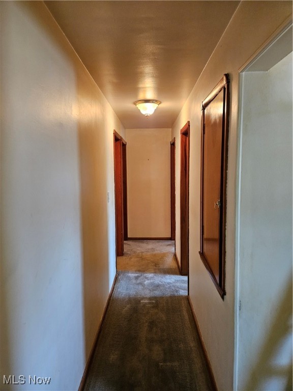 9127 Biddulph Road, Brooklyn, Ohio image 10