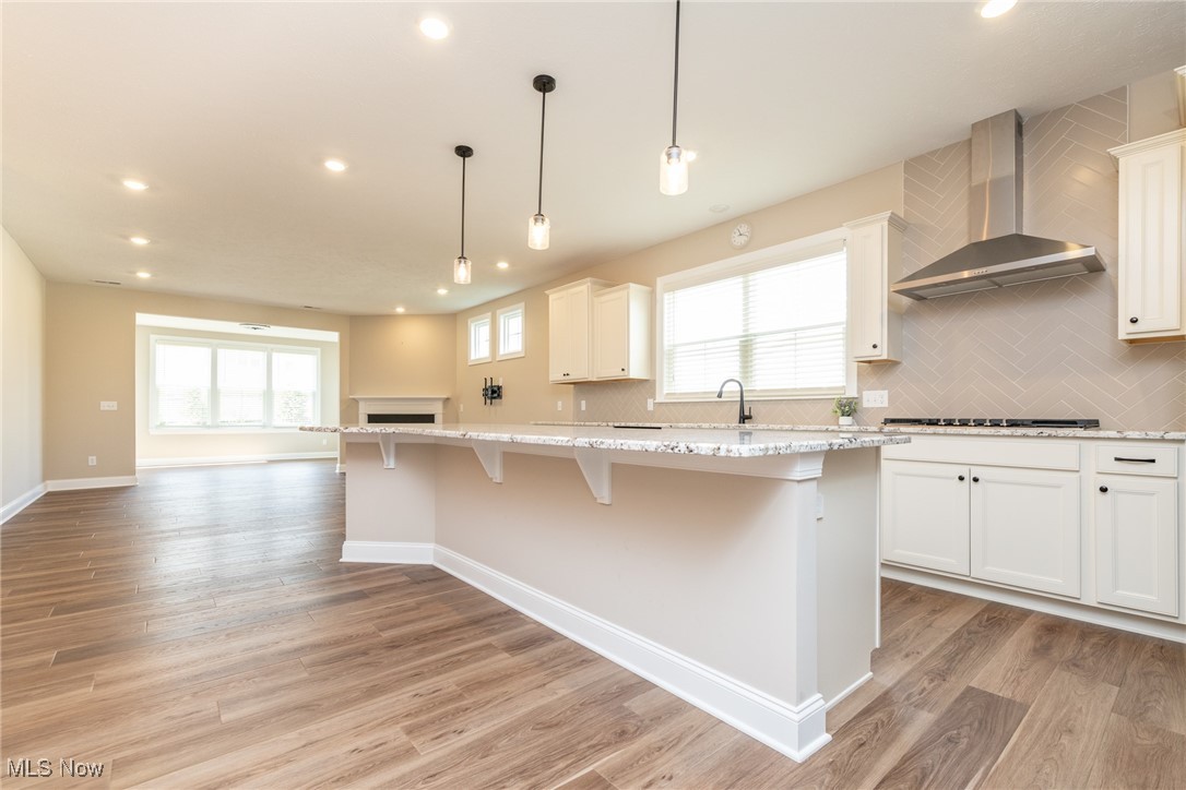 Renaissance Pk/Geauga Lake East - Residential