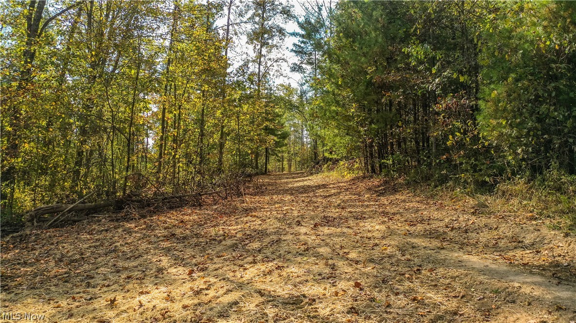 Township/Washington - Land