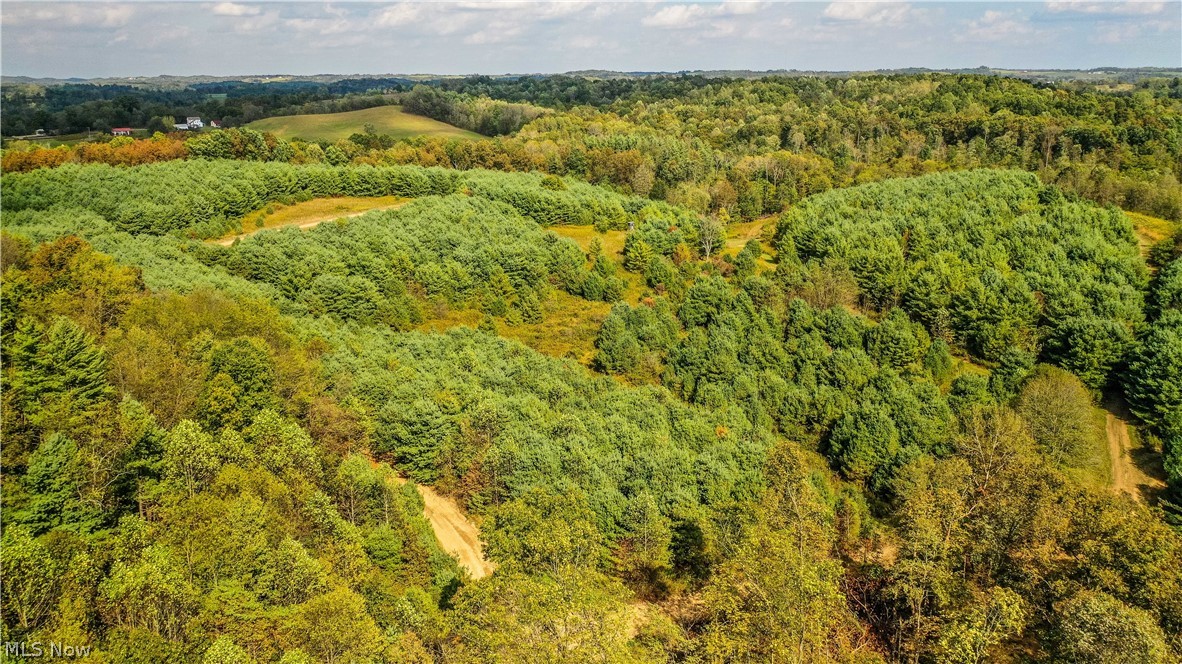 Township/Washington - Land