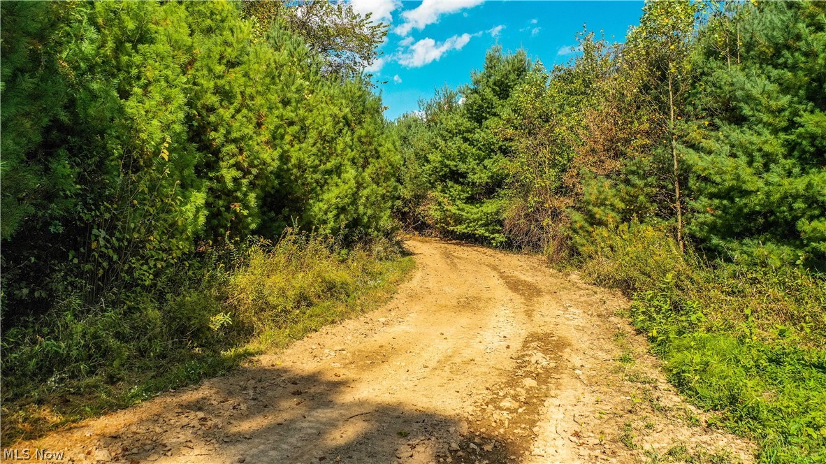 Township/Washington - Land