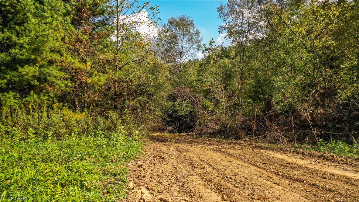 Township/Washington - Land