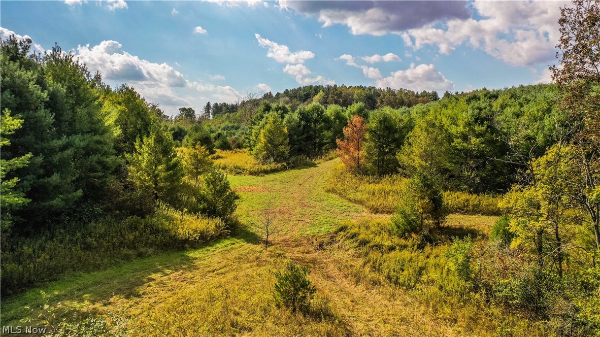 Township/Washington - Land