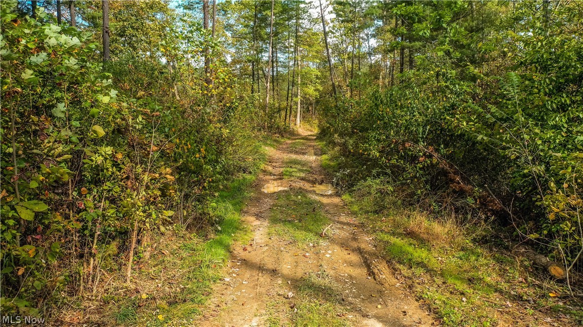 Township/Washington - Land