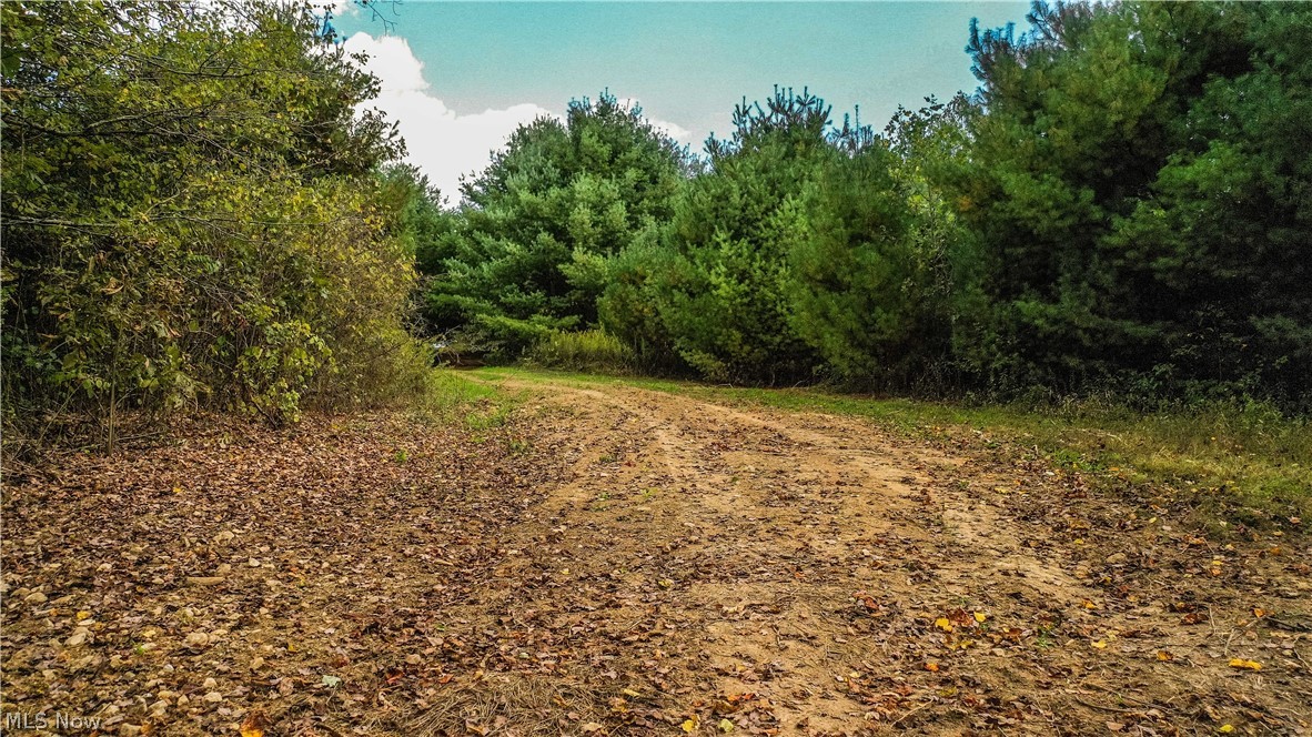 Township/Washington - Land