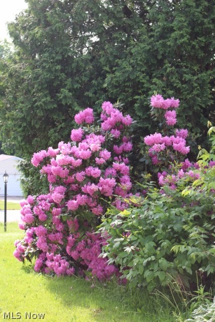 Krancz - Residential