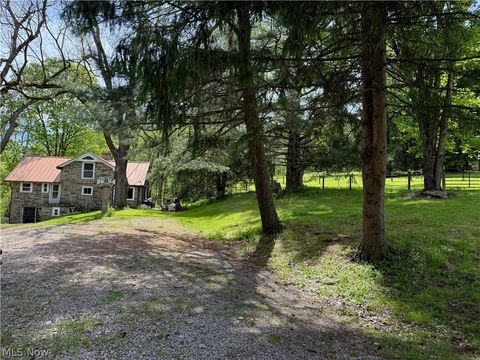Tiny photo for 11811 Gaston Road, Negley, OH 44441 (MLS # 5210243)