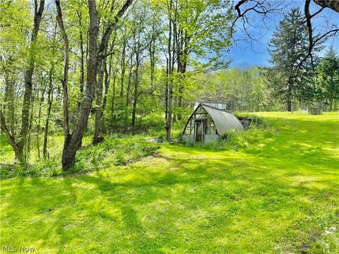 Tiny photo for 11811 Gaston Road, Negley, OH 44441 (MLS # 5210243)