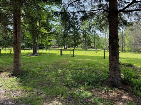 Tiny photo for 11811 Gaston Road, Negley, OH 44441 (MLS # 5210243)