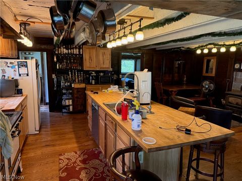 Tiny photo for 11811 Gaston Road, Negley, OH 44441 (MLS # 5210243)