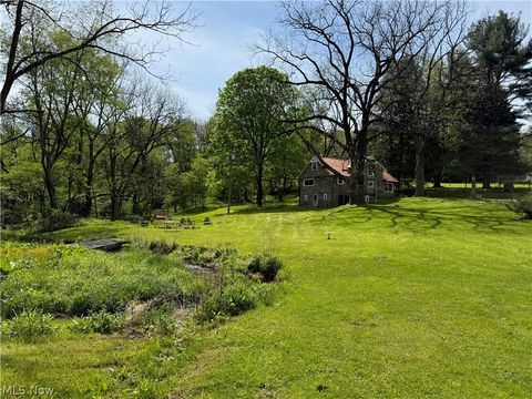 Tiny photo for 11811 Gaston Road, Negley, OH 44441 (MLS # 5210243)