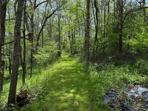 Tiny photo for 11811 Gaston Road, Negley, OH 44441 (MLS # 5210243)