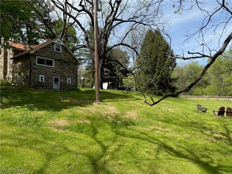 Tiny photo for 11811 Gaston Road, Negley, OH 44441 (MLS # 5210243)