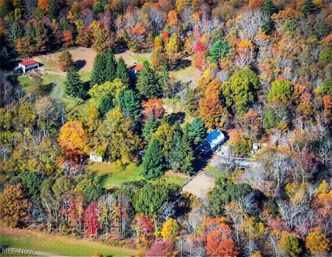 Tiny photo for 11811 Gaston Road, Negley, OH 44441 (MLS # 5210243)