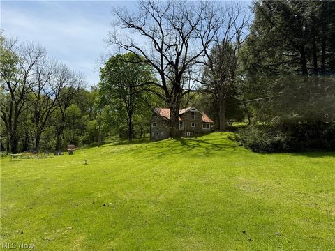 Tiny photo for 11811 Gaston Road, Negley, OH 44441 (MLS # 5210243)