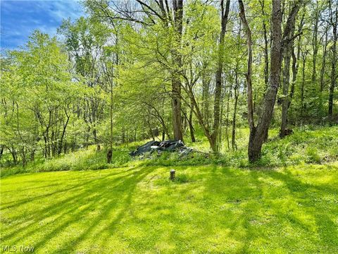 Tiny photo for 11811 Gaston Road, Negley, OH 44441 (MLS # 5210243)