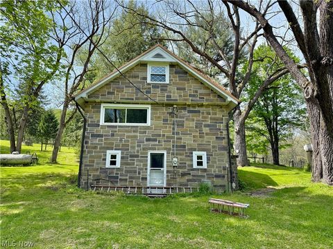 Tiny photo for 11811 Gaston Road, Negley, OH 44441 (MLS # 5210243)
