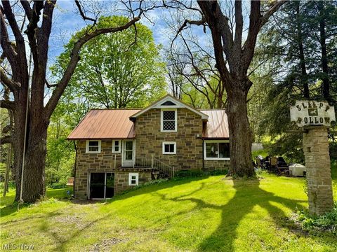 Photo of 11811 Gaston Road, Negley, OH 44441 (MLS # 5210243)