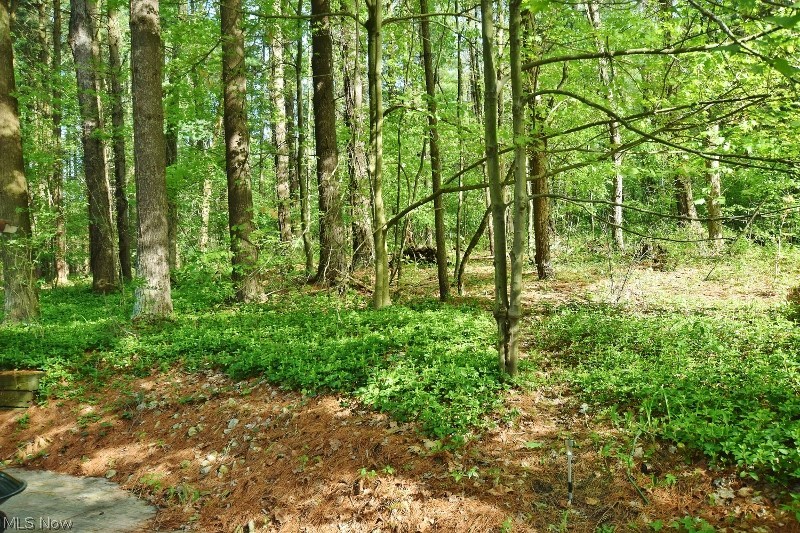 Atwood Pines - Residential