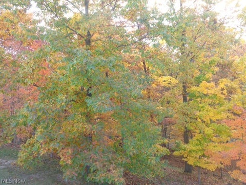 Tiny photo for 7855 Arbor Park Drive, Parma, OH 44134 (MLS # 5256081)