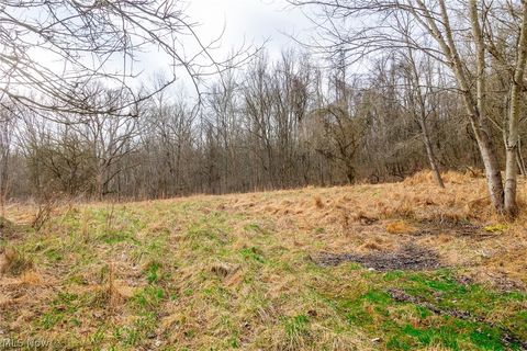 Vacant Land For Sale - 10445 Shannon Road<br/> Frazeysburg, OH 43822