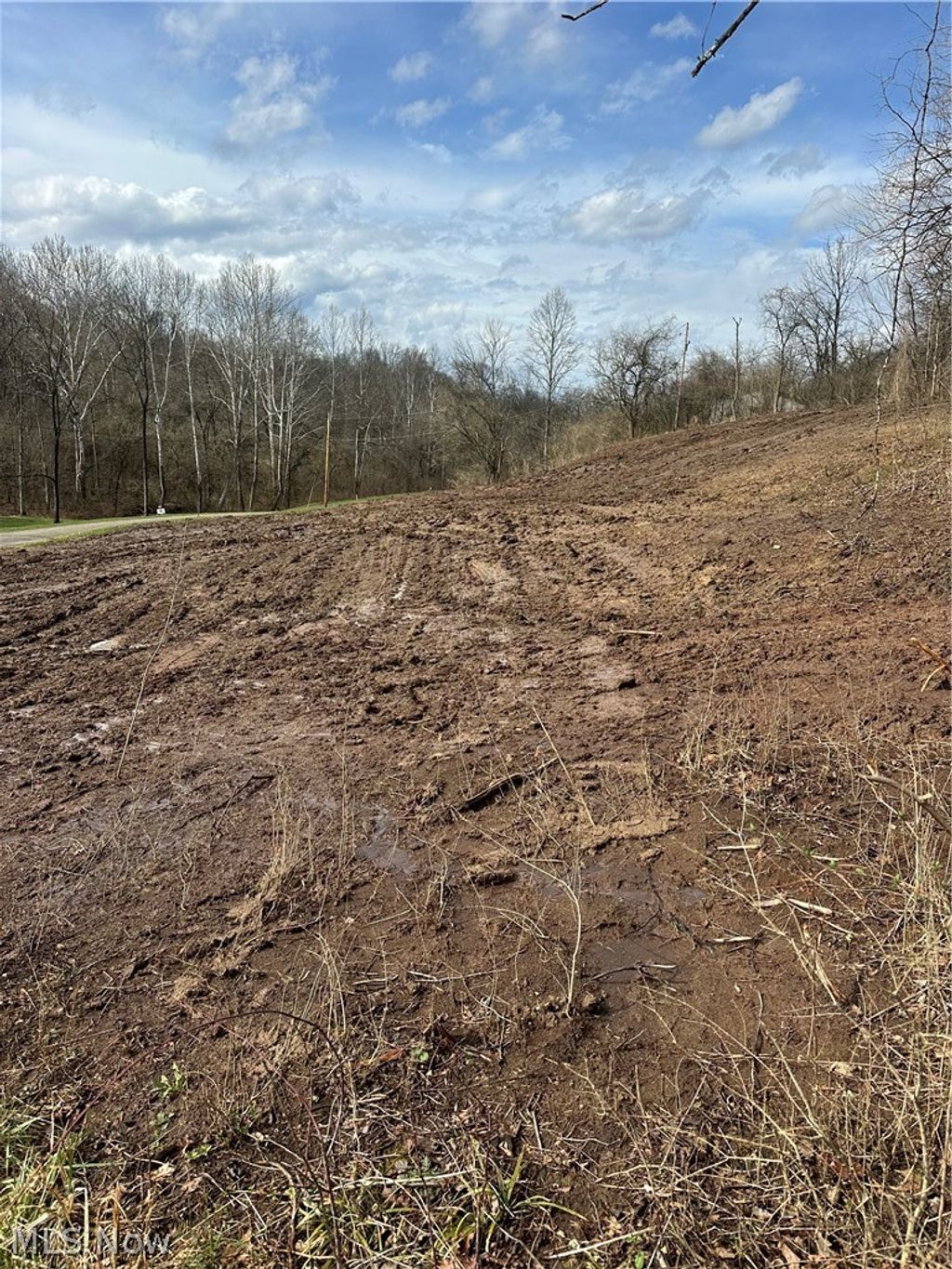 Photo of 3940 Wedgewood Drive, Mcconnelsville, OH 43756 (MLS # 5192573)