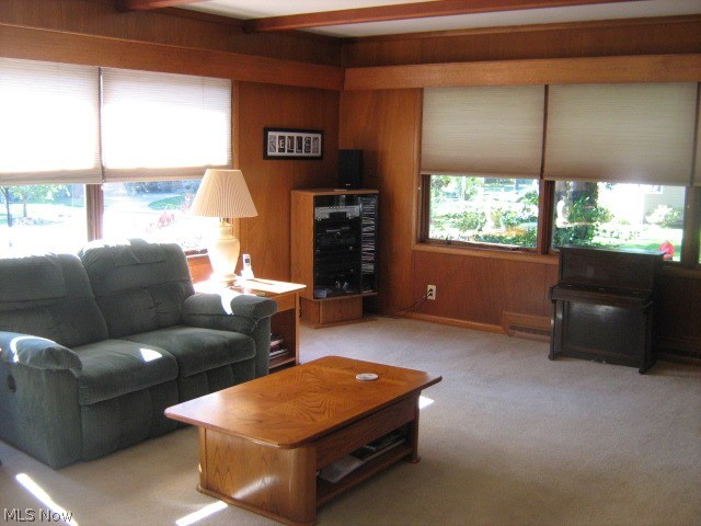 Silver Lake Heights - Residential