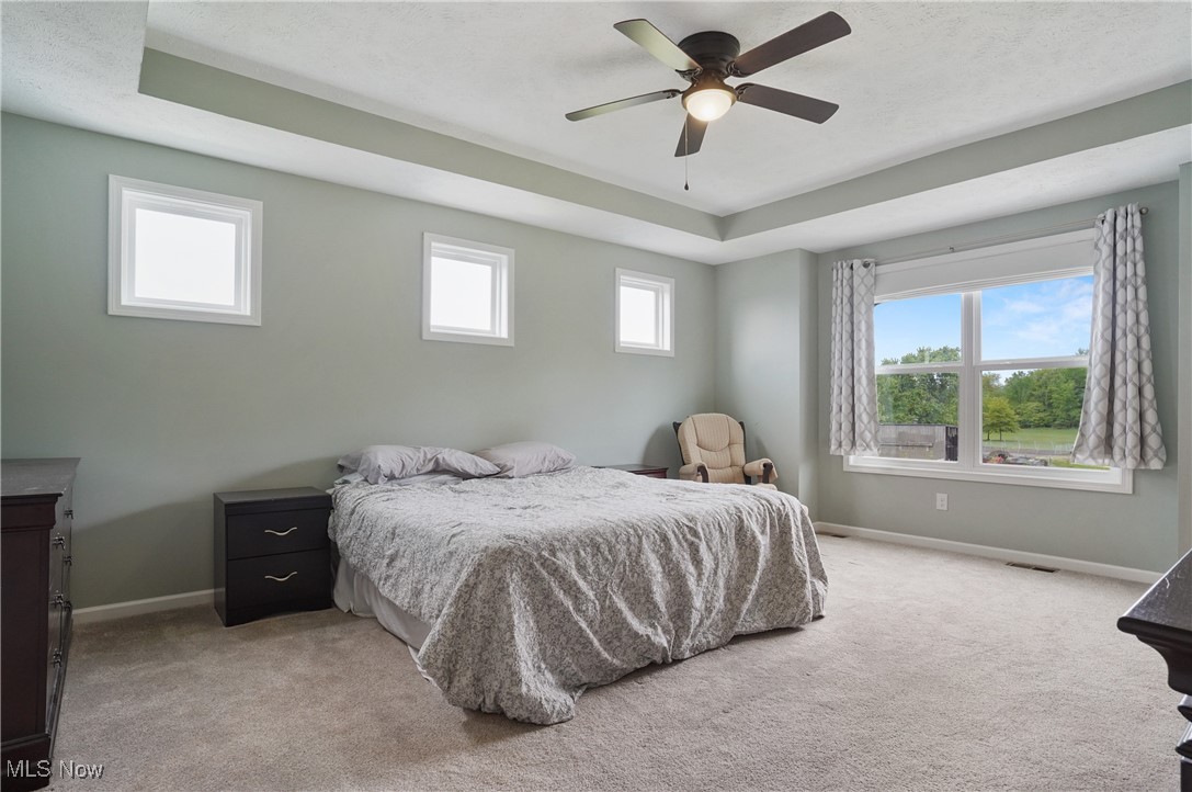 2562 Gianni Way, Richfield, Ohio image 22