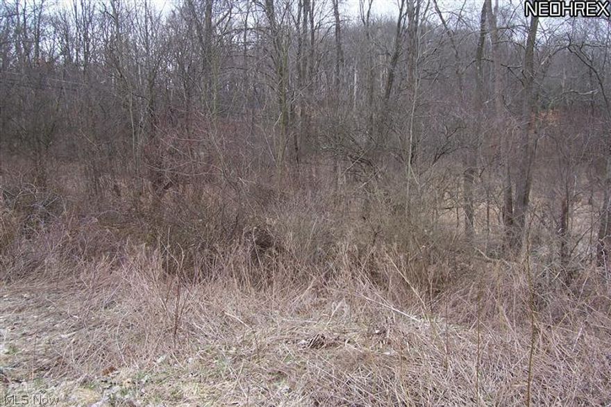 Great building lot in cul-de-sac in Meander Reserve perfect for walk-out basement. Lot is 60' x 142', with 241' across back.  Building restrictions as per Austintown township.