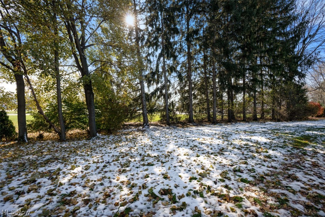 Shady Knoll Condo - Residential