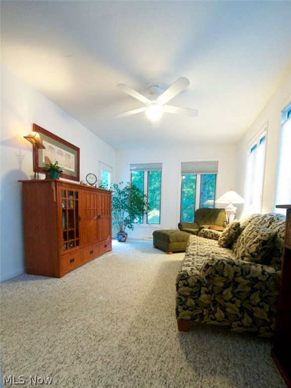 Orange Tree Estates - Residential