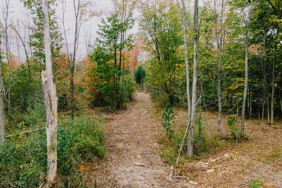 Township/Milton - Land