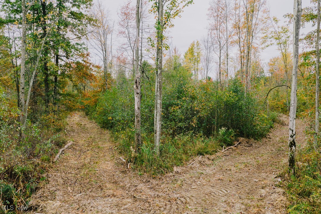 Township/Milton - Land