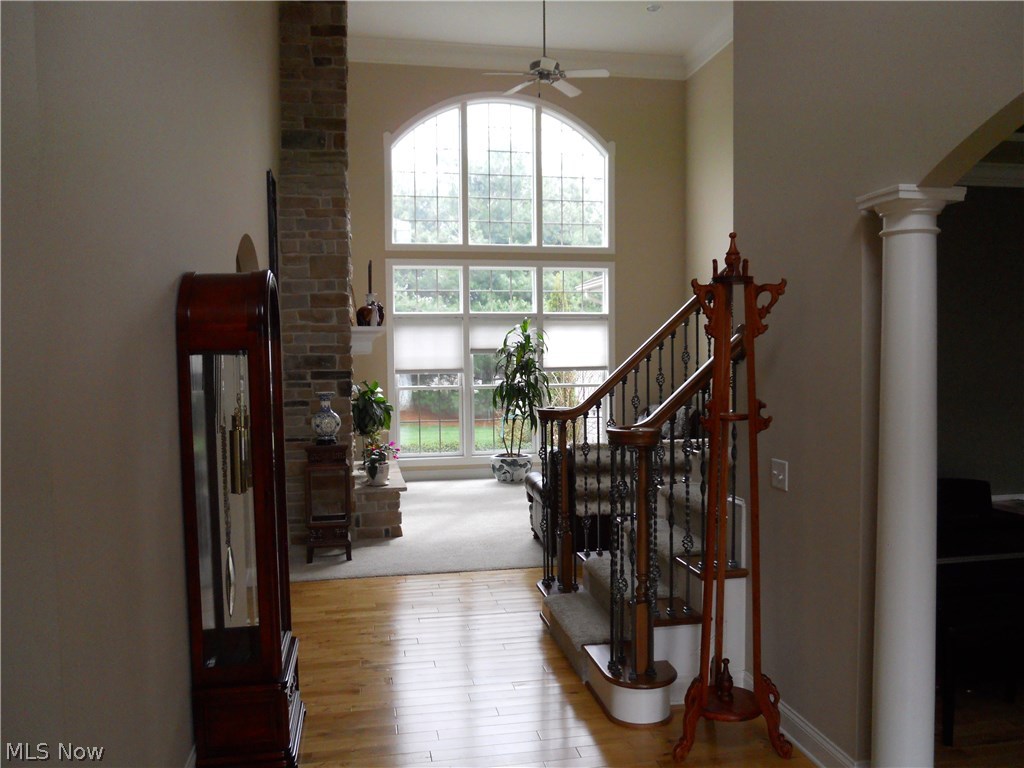 Chestnut Rdg Allotment - Residential