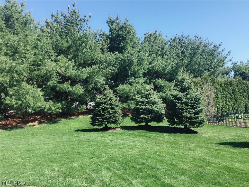 Chestnut Rdg Allotment - Residential