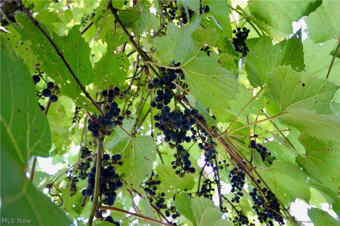 George Easterbrooks Sheila Park - Residential