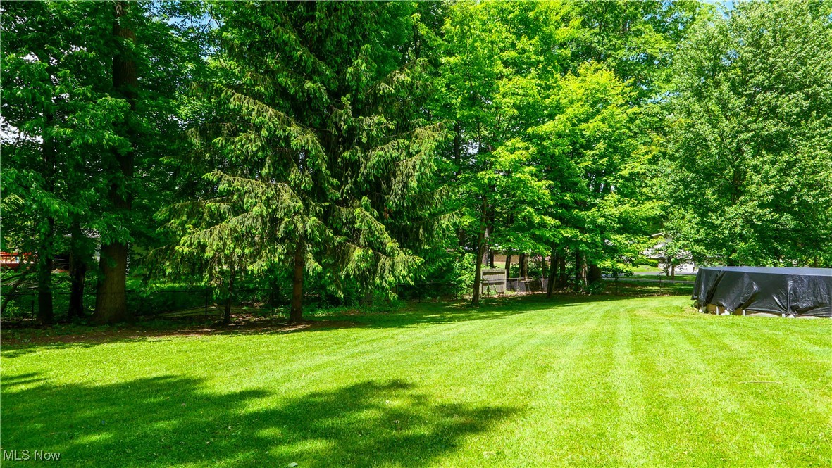 9649 Wisteria Drive, Windham, Ohio image 27
