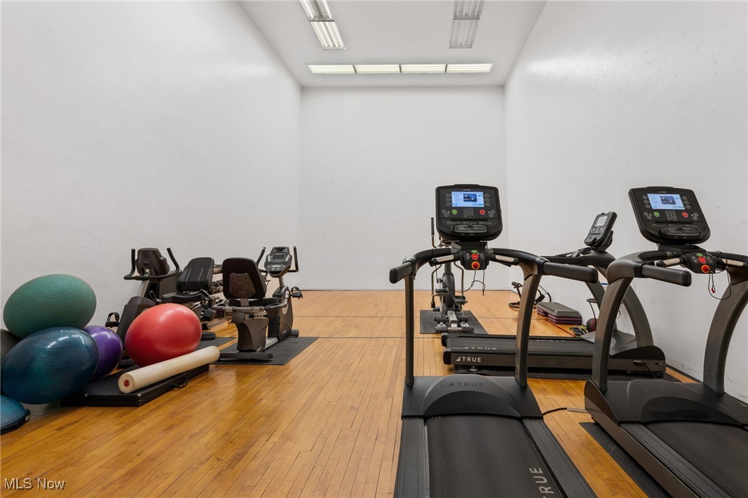Meridian Condo - Residential