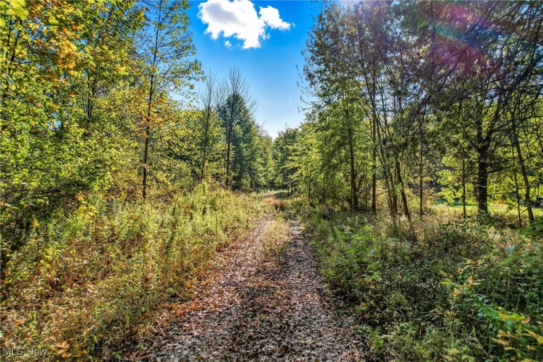 Berlin Center, Ohio 44401, United States, ,Land,Pending,219535