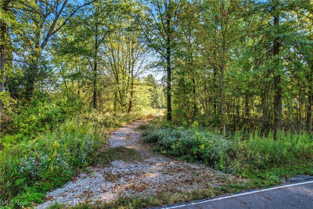 Berlin Center, Ohio 44401, United States, ,Land,Pending,219535