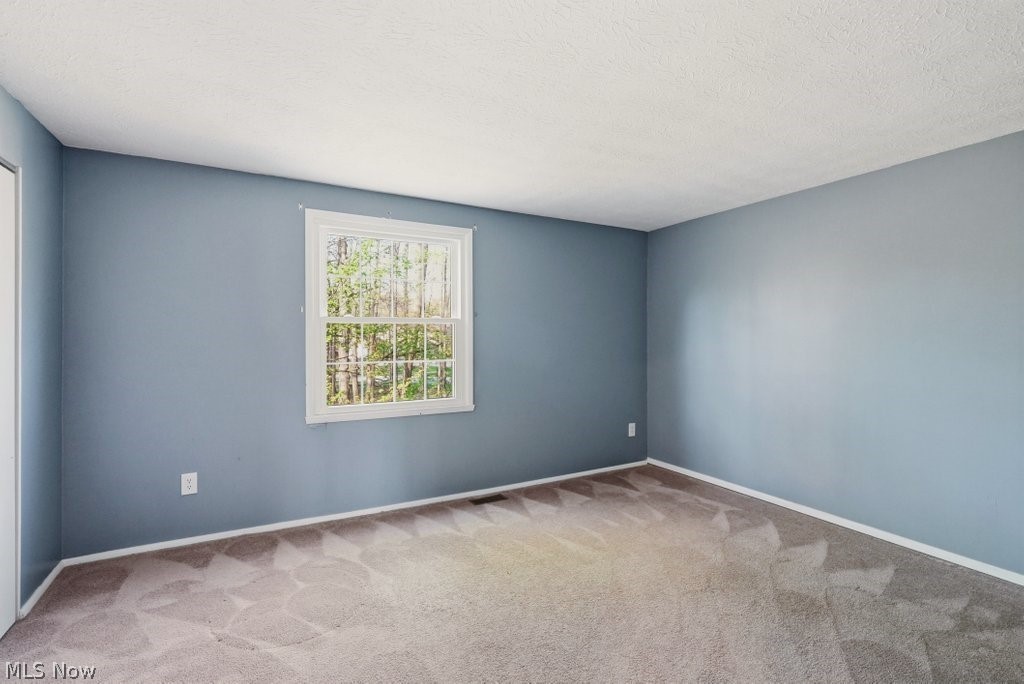 Woodland Lake Condo - Residential